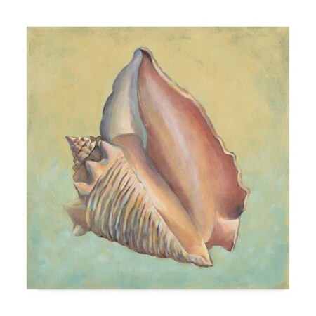 Trademark Fine Art Vision Studio 'Sand And Sea Pink' Canvas Art, 18x18 WAG02061-C1818GG